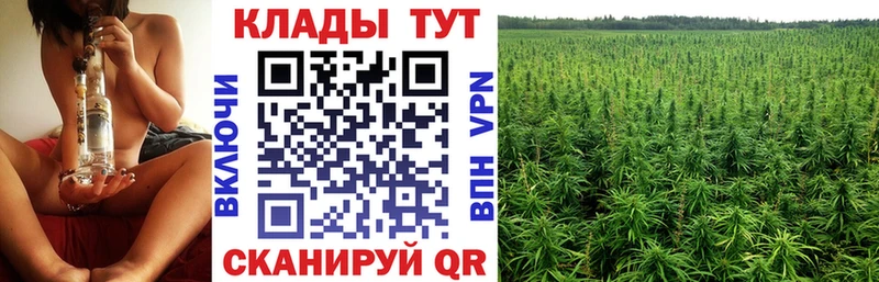 Наркошоп Йошкар-Ола Cocaine  АМФ  МЕФ  мега рабочий сайт  ЭКСТАЗИ  Марихуана  Гашиш  APVP 